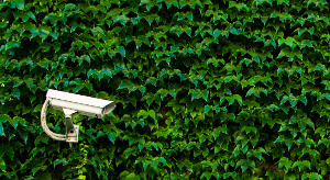 Politiche privacy e cookie policy